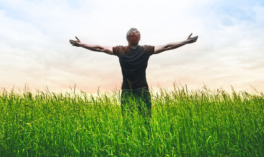 Hof Lifecoaching-gras