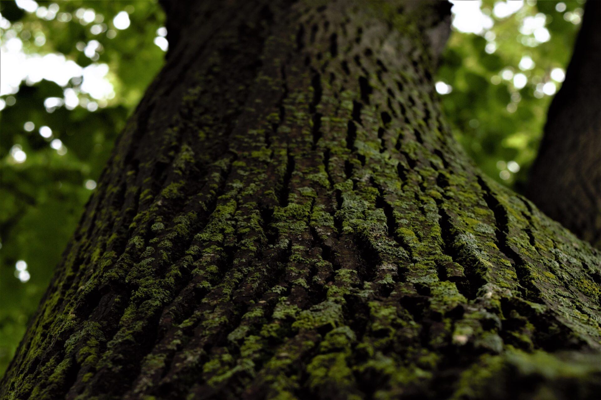 Soms krijg je een review…. en val je even helemaal stil.