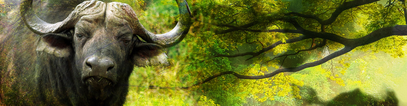 Waarom Nice Guy-gedrag je juist verder van je doelen wegduwt.